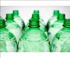 Marché des plastiques biodégradables