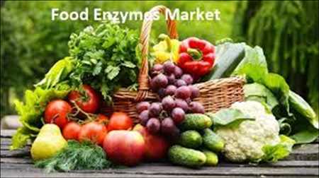 Enzymes alimentaires marché