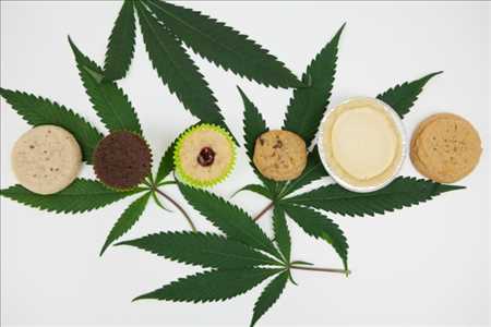 Produits comestibles au cannabis marché